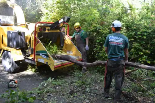 tree services Taylor Springs